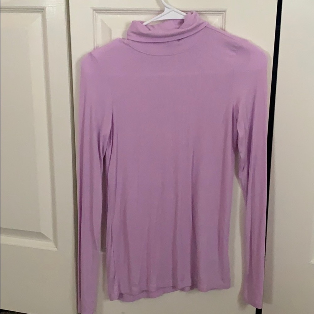 Purple Gap Fitted Turtleneck